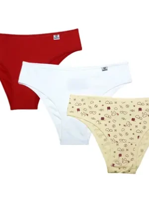Kit 3 Calcinhas DelRio Adulto Em Microfibra